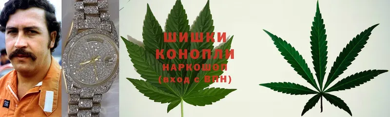 Бошки Шишки White Widow  ОМГ ОМГ вход  Лянтор 